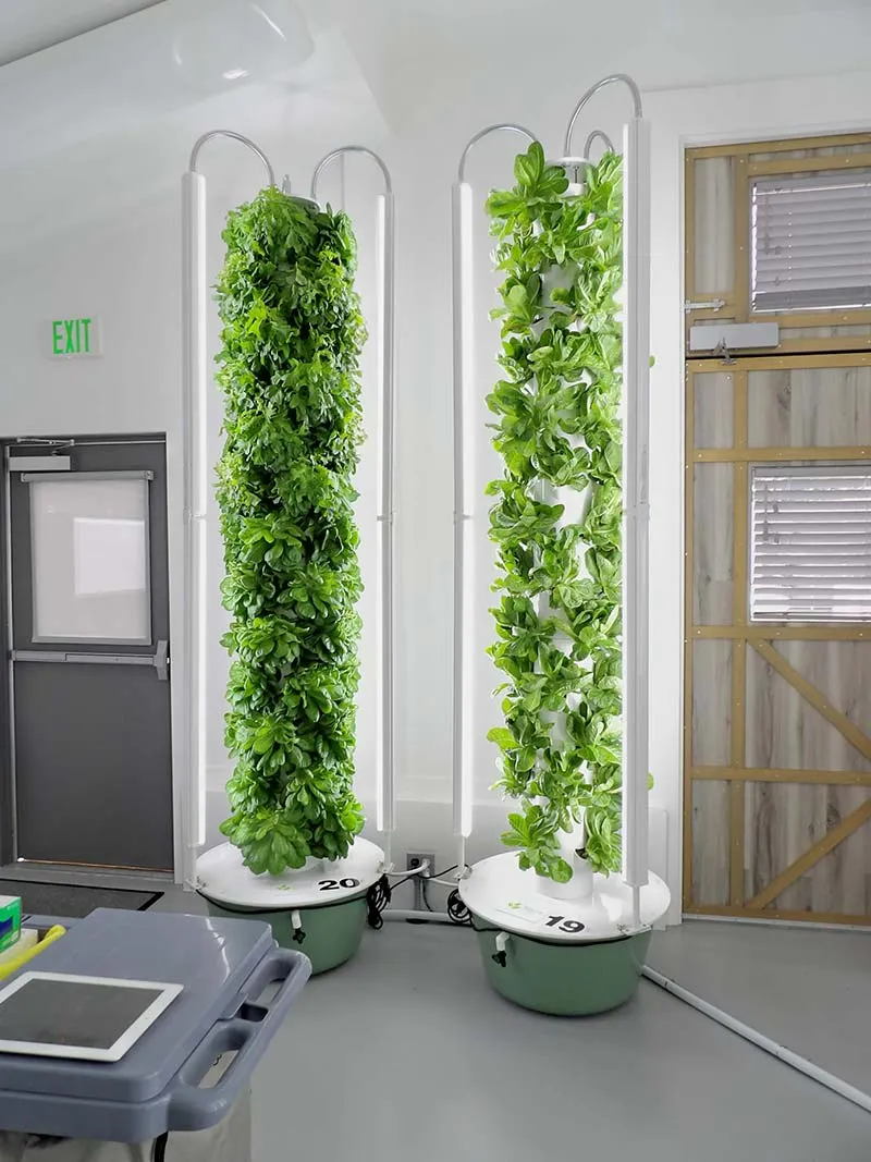 Hydroponic tower system closeup